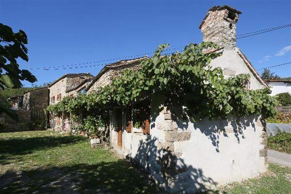 Istrian Experience Villa Socerga Kültér fotó